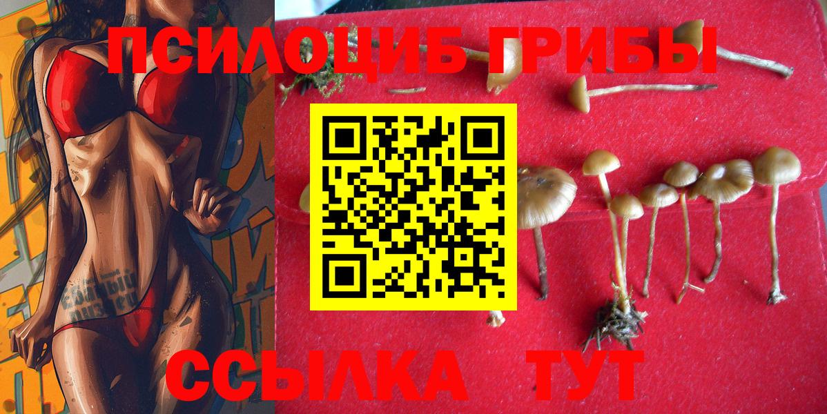 Псилоцибиновые грибы прущие грибы Бугуруслан